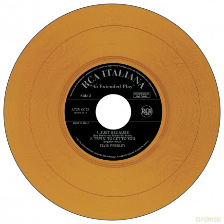 Elvis Presley: Etranger No. 15 - Il Re Del RockNRoll (Italie) (Orange) [Winyl]