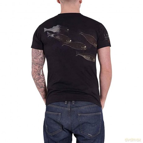 Tool: Fish (Small)