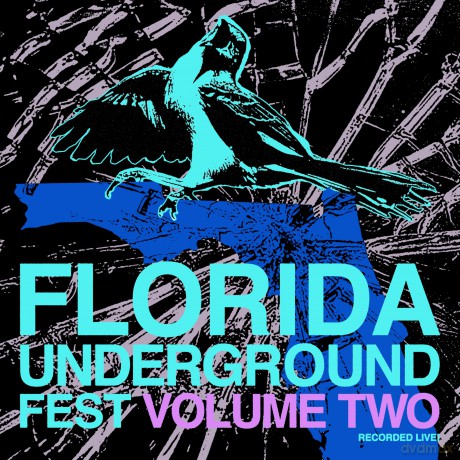 Florida Underground Fest Vol. 2 [Winyl]