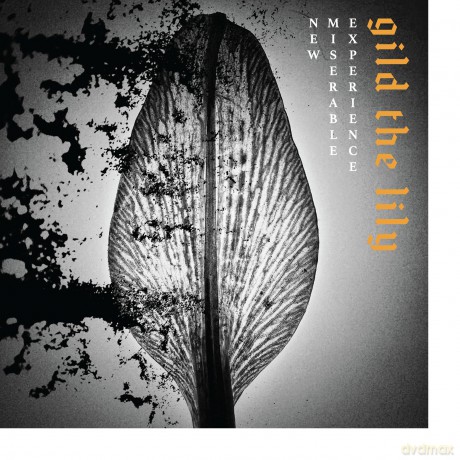 New Miserable Experience: Gild The Lily [Winyl]
