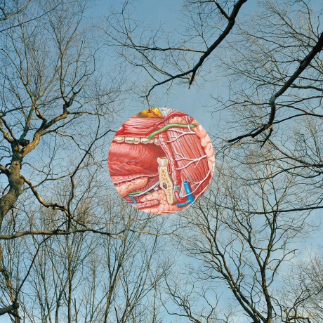 They Might Be Giants: Glean (Clear With Red Wisps) [Winyl]