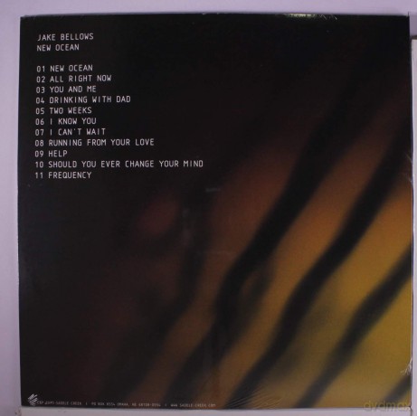 Jake Bellows: New Ocean [Winyl]