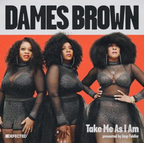 Dames Brown: Take Me As I Am (Presented By Amp Fiddler) [Winyl]