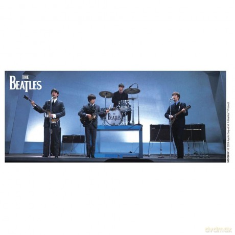 Beatles: The Beatles (Band Shot) Coloured Inner Kubek