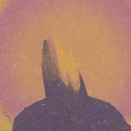 Hanry: What Came From Silence [CD]