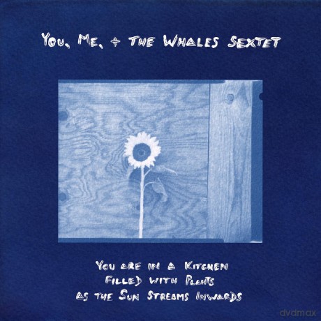 You. Me. + The Whales Sextet: You Are In A Kitchen Filled With Plants As The Sun Streams Inwards [Winyl]