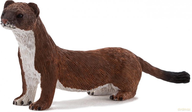 Gronostaj ANIMAL PLANET