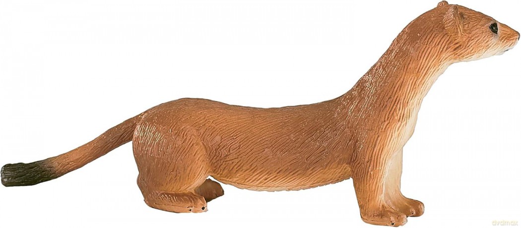 Gronostaj ANIMAL PLANET