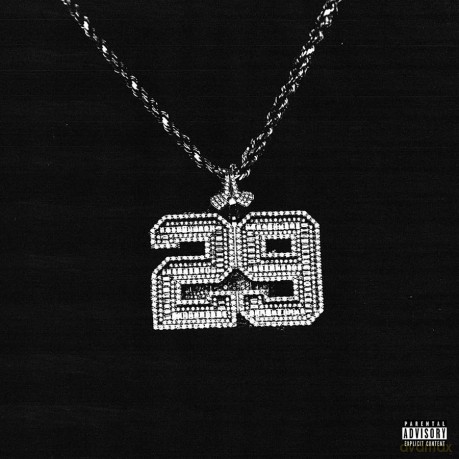 Bankrol Hayden: 29 [CD]