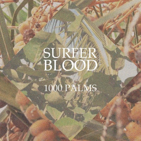 Surfer Blood: 1000 Palms [CD]