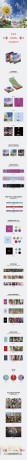 Seventeen: 11th Mini Album 'Seventeenth Heaven' (Ltd. Edt.) [CD]