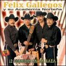 Gallegos Feli Academia Nortena: 12 Corridos Pa La Raza [CD]