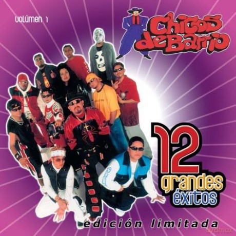 Chicos De Barrio: 12 Grandes Exitos 1 [CD]