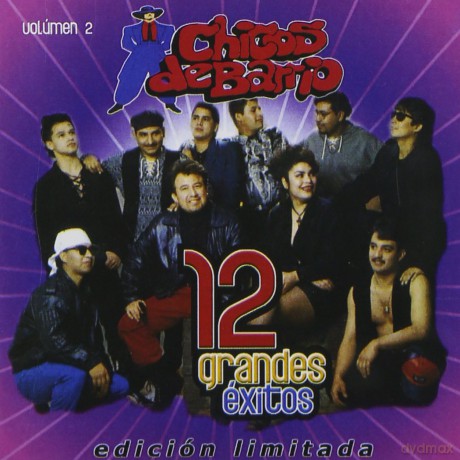 Chicos De Barrio: 12 Grandes Exitos 2 [CD]