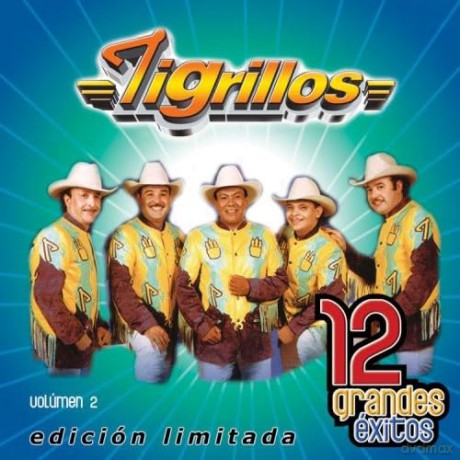 Tigrillos: 12 Grandes Exitos 2 [CD]