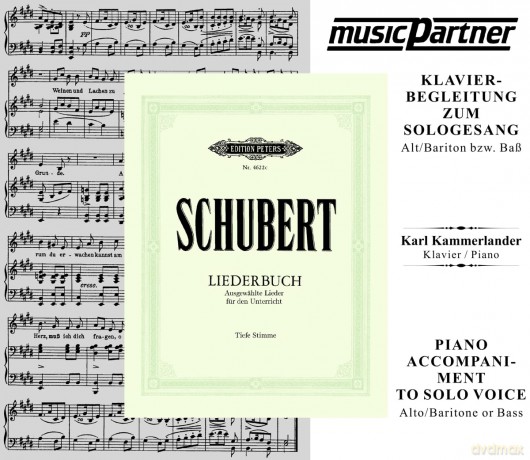 Schubert F.: 31 Lieder (Tief) [CD]