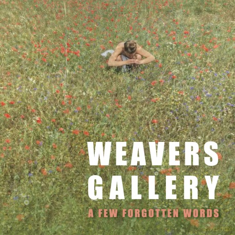 Weavers Gallery: A Few Forgotten Words [CD]