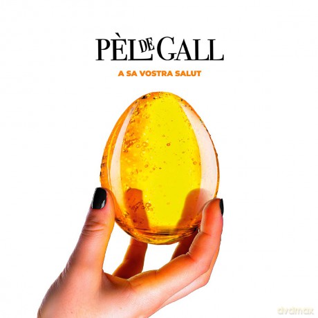 Pel De Gall: A Sa Vostra Salut [CD]