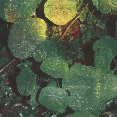 Whoman: About Honey [CD]