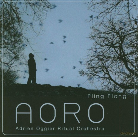 Adrien Oggier Ritual Orchestra: Adrien Oggier Ritual Orchestra - Pling Plong [CD]