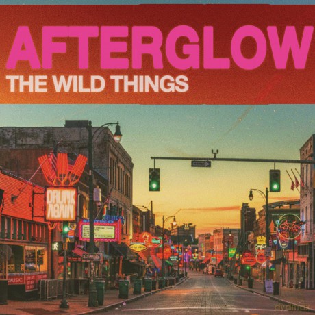 Wild Things The: Afterglow [CD]