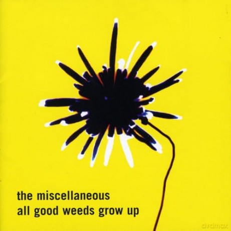 Miscellaneous: All Good Weeds Grow Up [CD]