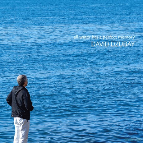 Dzubay: All Water Has A Perfect Memory [2CD]