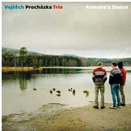 Prochazka Vojtech: Amoeba's Dance [CD]