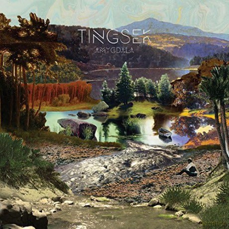 Tingsek: Amygdala [CD]