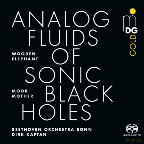 Moor Mother Wooden Elephant: Analog Fluids Of Sonic Black H [CD]