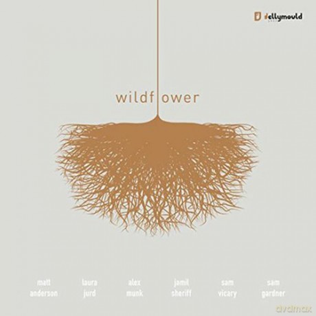 Anderson Matt-Wildflower: Anderson Matt-Wildflower [CD]