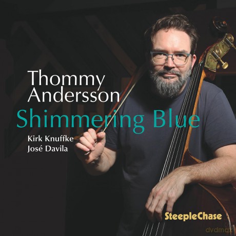 Andersson: Andersson/Knuffke/Davila-Shimmering Blue [CD]