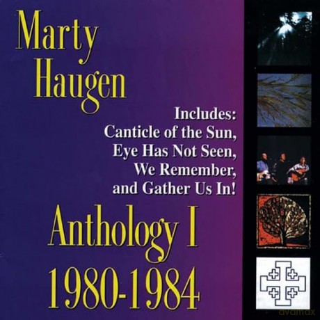 Haugen Marty: Anthology 1: 1980-84 [CD]