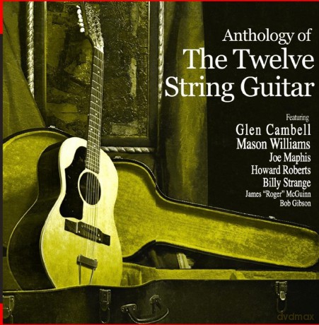 Anthology Of The Twelve String Guitar: Anthology Of The Twelve String Guitar [CD]