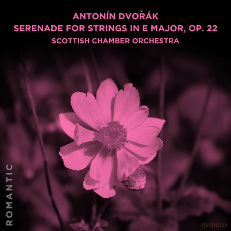 Scottish Chamber Orchestra: Antonin Dvorak: Serenade For Strings In E Major Op [CD]