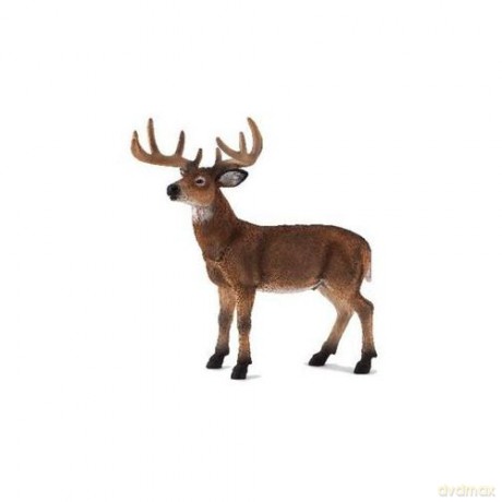 Jeleń wirginijski ANIMAL PLANET