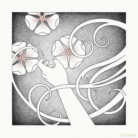 Whispering Void: At The Sound Of The Heart [CD]