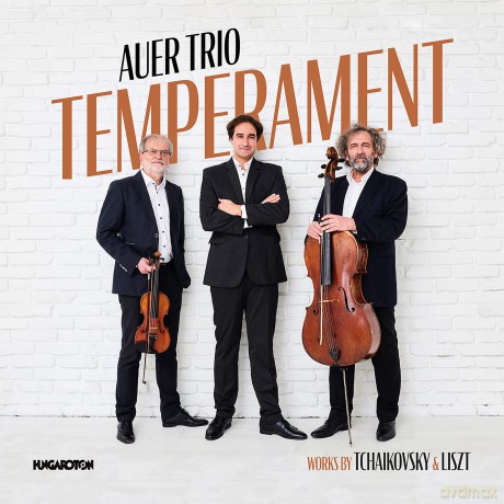 Auer Trio: Temperament, works by Tchaikovsky [CD]