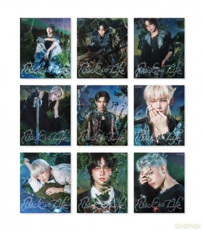 &Team: Back To Life (Roar Ver.) [CD]
