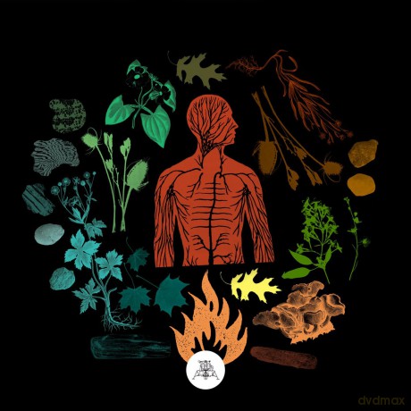 Camp Of Wolves: Bear Creek [CD]