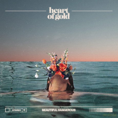 Heart Of Gold: Beautiful Dangerous [CD]
