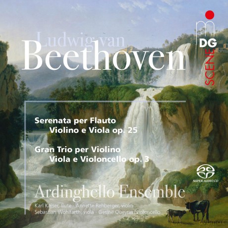 Ardinghello Ensemble: Beethoven: Serenade And String Trio [CD]