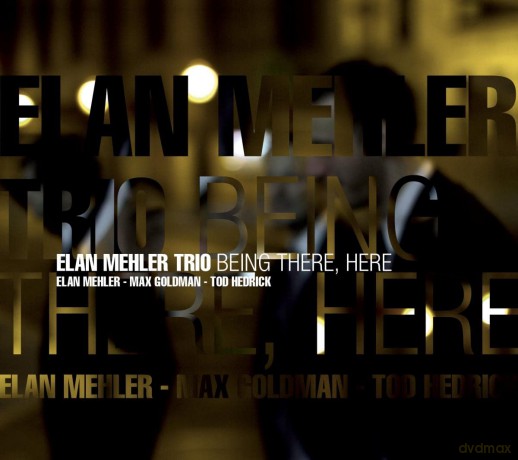 Mehler Elan Trio: Being There Here [CD]