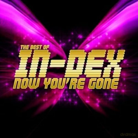 In-Dex: Best Of - Now You're Gone [CD]