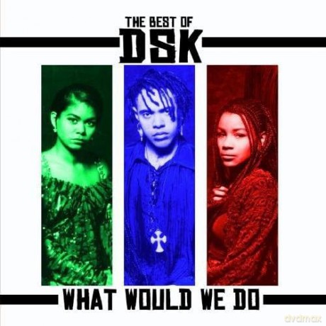 Dsk: Best Of: What Would We Do [CD]