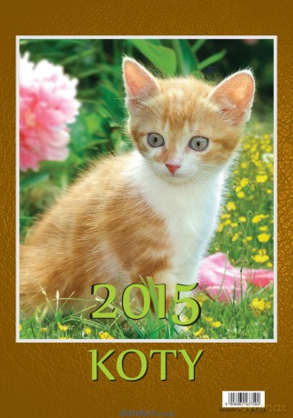 Kalendarz 2015 13PL Koty [KALENDARZ]