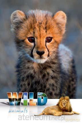 Kalendarz 2015 13PL Wild animals [KALENDARZ]
