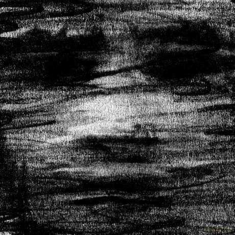 Born Erased: Birds Drink My Blood [CD]