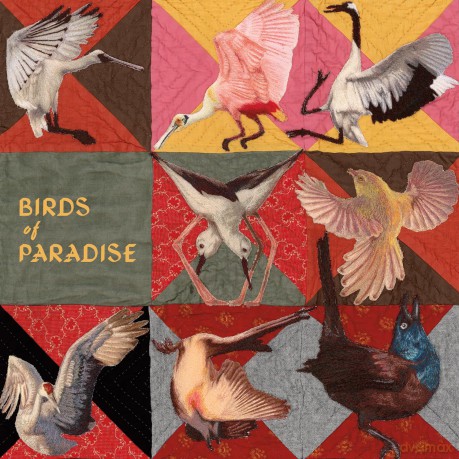 Dollbaum Thomas: Birds Of Paradise [CD]