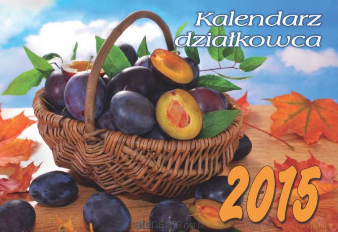 Kalendarz 2015 Albumowy - Działkowca [KALENDARZ]